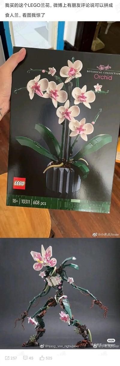 这是一张上下拼接的对比图，上图展示了乐高植物收藏系列10311款兰花积木套装的包装盒，成品造型是清新优雅的盆栽兰花，套装包含608个零件，适合18岁以上玩家；下图是乐高玩家利用这套积木的零件进行MOC（My Own Creation）二次创作，将原本的兰花改造成了类似食人兰的狰狞怪物，有着张开的花型“嘴部”和带爪的肢体，摆出极具攻击性的姿态，和原本的清新兰花造型形成强烈反差，充满趣味和创意，让分享的网友感到惊讶。