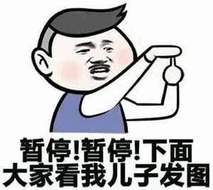 暂停！看我儿子发图
