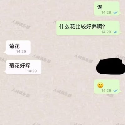 这是一张聊天记录截图，展示了一个关于养花的搞笑对话。一方询问什么花比较好养，另一方回答"菊花"，紧接着又发了一句"菊花好痒"，利用了"菊花"在中文里的双关含义制造笑点，最后对方发了一个笑脸表情。图片背景有水印"人间俱乐部"。