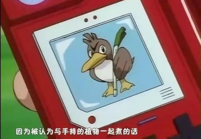 这是《宝可梦》系列动画的截图，画面展示了宝可梦图鉴中的大葱鸭，它标志性地手持一根大葱，下方配有字幕“因为被认为与手持的植物一起煮的话”。这玩的是大葱鸭的经典设定梗：在宝可梦的世界观里，大葱鸭因为和大葱一起烹饪会非常美味，所以数量稀少，是知名的“可食用宝可梦”相关梗，充满搞笑趣味。