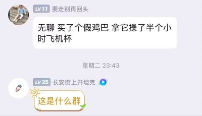 图片是一张社交软件群聊的聊天截图。上方用户称自己因为无聊，买了个假鸡巴并用它操作了半个小时飞机杯。下方另一用户惊讶地回复“这是什么群？”，明显对话题尺度感到震惊或迷惑。整体属于搞笑、沙雕、略带性暗示的话题，常用于调侃聊天群聊氛围古怪或者尺度过大。

梗图有性相关的双关和彩蛋，同时也有吐槽“群里讨论话题离谱”的亚文化氛围。