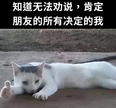 图片上方为黑色背景白色文字：“知道无法劝说，肯定朋友的所有决定的我”。下方是一只灰白色猫咪趴在地面的照片，猫咪头部有灰色毛发，身体雪白，前爪向前伸展，头部低垂，眼神显得无精打采，整体姿态呈现出一种放弃挣扎、无奈接受的状态。文字内容与猫咪的颓废表情形成呼应，幽默地表达了面对朋友坚持己见时，自己选择放弃劝说、默默认同的复杂心情。