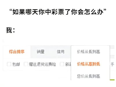 图片上方配有文字“如果哪天你中彩票了你会怎么办”，下方以“我：”引出一张购物平台界面截图。截图中显示了常见的商品排序选项，包括“综合排序”“销量”“信用”“价格从低到高”“价格从高到低”“总价从低到高”，以及“包邮”“赠送退货运费险”“新品”等筛选复选框。通过这种组合，幽默地表达了普通人中奖后可能不会有宏大计划，而是立刻回归日常购物比价的真实心态，形成预期与现实的反差萌。