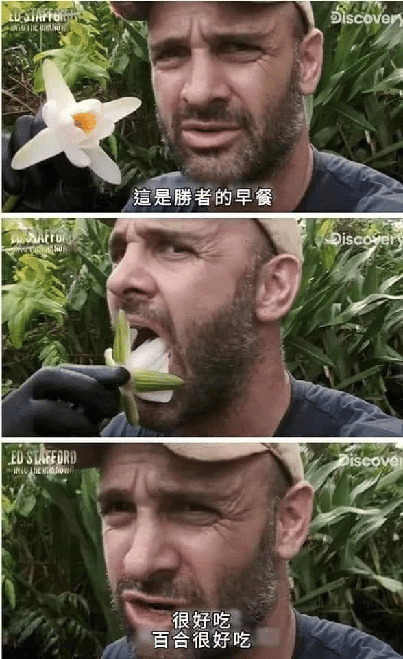 Ed Stafford: Into the Wild