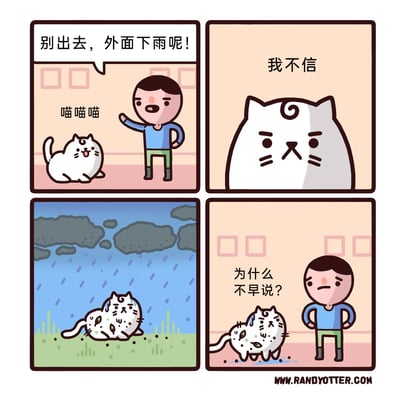 这是一幅四格连环卡通漫画，描绘了主人与小猫的趣味日常：第一格中，穿着蓝上衣绿裤子的主人对着跃跃欲试想出门的白色小猫摆手劝阻，说道“别出去，外面下雨呢！”，小猫则兴奋地喵喵叫；第二格是小猫的特写，它一脸倔强，配文“我不信”；第三格展示了室外的雨天场景，乌云密布，雨点落下，小猫浑身湿透，沾满泥点，一脸委屈地待在雨中；第四格，浑身湿漉漉的小猫回到室内，主人叉腰无奈地问道“为什么不早说？”，用反差感制造了搞笑效果，展现了小猫固执不信劝，吃亏后反而责怪主人的有趣情节。