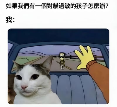图片上方文字提出问题“如果我们有一个对猫过敏的孩子怎么办？”，下方配图左侧是一只表情平静的真实猫咪特写，右侧为动画风格的汽车内景，一只戴黄色手套的手正指向车窗外被抛下的小人，通过幽默对比暗示“选择猫咪”的搞笑解决方案。