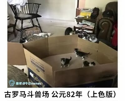 这是一张充满创意的搞笑宠物照片，将日常打开的纸箱类比为公元82年建成的古罗马斗兽场，纸箱内有三只黑白花色的小猫，正活泼地在其中活动，仿佛身处斗兽场中；纸箱外的房间地面和纸箱边缘还有几只猫咪，有的慵懒休息有的在观望。图片底部配文“古罗马斗兽场 公元82年（上色版）”，通过将普通的猫咪玩纸箱的日常场景与著名历史建筑结合，制造出强烈的反差感，赋予了平凡的宠物日常趣味十足的历史厚重感，达到搞笑的效果。