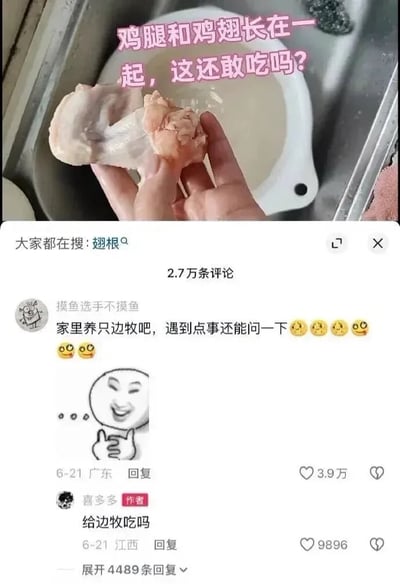 整张图是国内社交媒体的内容截图，由上下两部分组成：上半部分是用户实拍内容，拍摄者在厨房水槽边手持一个生的鸡翅根，配粉色文字提问「鸡腿和鸡翅长在一起，这还敢吃吗？」，界面还显示平台提示「大家都在搜：翅根」，说明发布者不知道手中的部位是正常的鸡翅根；下半部分是该内容的评论区，高赞评论由用户「摸鱼选手不摸鱼」发布，调侃称「家里养只边牧吧，遇到点事还能问一下」，还搭配了眯眼笑比耶的搞笑表情包，玩「边牧智商很高」的网络梗讽刺发布者缺乏常识，该评论获得3.9万点赞，内容作者「喜多多」随后回复「给边牧吃吗」，该回复也获得近万点赞，整体内容诙谐搞笑，引发大量网友共鸣。