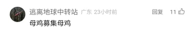 这是一张社交媒体平台的评论截图，截图中展示了用户“逃离地球中转站”（IP归属地为广东）在23小时前发布的一条评论，内容为“母鸡募集母鸡”，该评论旁设置有“回复”按钮，同时显示获得了11个点赞。其中“母鸡”疑似使用了谐音梗，大概率是对特定群体的指代，通过重复表述形成趣味效果，属于用户在社交平台发布的互动类内容。