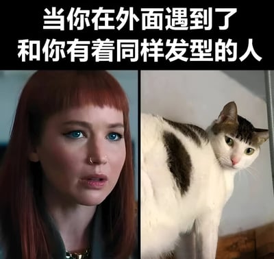 这是一张左右对比的搞笑梗图，上方配有文字'当你在外面遇到了和你有着同样发型的人'。左侧是一位红发女性，有着整齐的刘海，表情惊讶地看着前方；右侧是一只白猫，其额头的黑色花纹恰好形成了与左侧女性相似的'刘海'造型，猫咪表情淡定地侧身站立。图片通过将人类发型与猫咪毛色花纹进行幽默对比，营造出一种尴尬又搞笑的氛围。