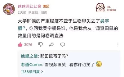 这是一张B站平台的用户评论截图，发布者是LV5等级用户“球球泥让让窝”，IP属地湖南，内容发布于2天前，获赞3076次，共有38条回复。评论内容先用夸张的修辞将大学旷课的严重程度类比为生物界失去重要人物，随后揭晓所谓的重要人物只是自己的室友吴宇桐，更荒诞的是吴宇桐做田鼠数量调查竟然使用完全不符合逻辑的问卷调查法，反差感拉满笑点十足。下方两条高赞回复也进一步玩梗，一条追问“那田鼠写了吗？”，另一条表示看原视频没笑，看这条评论反而笑了。