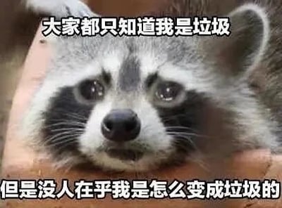 这是一张文字加注的静态单图，主体是一只表情委屈的浣熊，它眼神湿润，趴在一处边缘仅露出头部，神态低落可怜。图片上方和下方分别添加了文字“大家都只知道我是垃圾”和“但是没人在乎我是怎么变成垃圾的”，以浣熊的口吻进行自嘲，传递出一种被他人片面定义、自身经历不被理解与关心的委屈和无奈情绪，常被用于网络社交中抒发自己不被认可、遭受忽视的低落心情。
