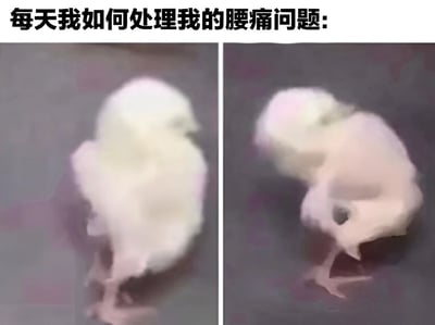 这是一张左右对比图，展示了一只小鸡处理腰痛问题的搞笑场景。左边的小鸡站立着，右边的小鸡则夸张地弯腰低头，仿佛在努力缓解腰部不适。图片上方配有文字"每天我如何处理我的腰痛问题:"，通过小鸡的可爱动作幽默地表现了人们日常应对腰痛的无奈与努力。