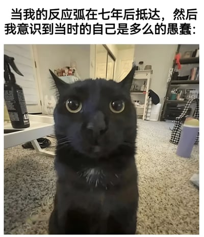 一张黑猫的照片，猫的眼睛瞪得很大，表情看起来非常惊讶和震惊。图片上方配有文字：'当我的反应弧在七年后抵达，然后我意识到当时的自己是多么的愚蠢:'。这张图片通过黑猫夸张的惊讶表情，幽默地表现了人们后知后觉、过了很久才明白某件事或意识到自己过去愚蠢行为的心理状态。