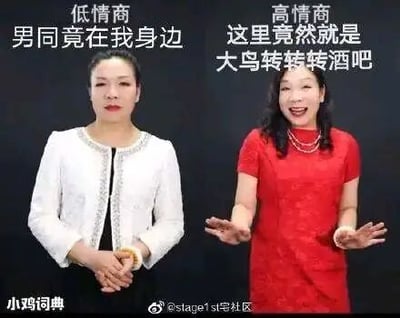 这是一张左右对比的静态真人梗图，图中为同一女性的两种不同状态，左侧的她身着白色镶边外套，内搭黑色衣物，面色严肃，双手交握放在身前，上方配有文字“低情商 男同竟在我身边”；右侧的她身着红色连衣裙，佩戴珍珠项链，笑容满面，双手摊开做出邀请的姿态，上方配有文字“高情商 这里竟然就是大鸟转转转酒吧”。该图通过低情商的直白表述与高情商的委婉调侃式表达形成对比，利用“大鸟转转转酒吧”这个带有暗示性的说法，将直白的内容转化为带有趣味的邀请话术，属于网络上流行的高低情商对比梗的创作，图的左下角有“小鸡词典”的水印，右下角有微博账号“@stage1st宅社区”的水印。