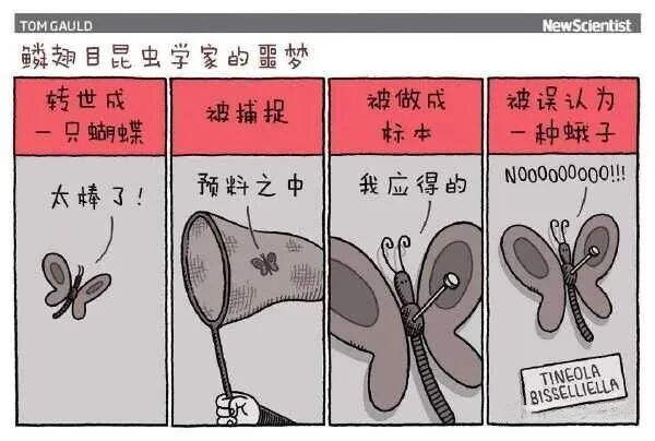 TOM GAULD 漫画
