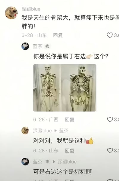 这是一张社交媒体评论区互动截图，用户“深藏blue”发言称自己天生骨架大，即便瘦下来看起来也会偏胖；用户“蓝茶”回复时附上了一张人类骨架和猩猩骨架的对比图，反问对方是否属于右边的骨架类型，在得到“深藏blue”的肯定答复后，蓝茶点明右边的骨架实际上是猩猩的，形成了极具反差的搞笑效果。