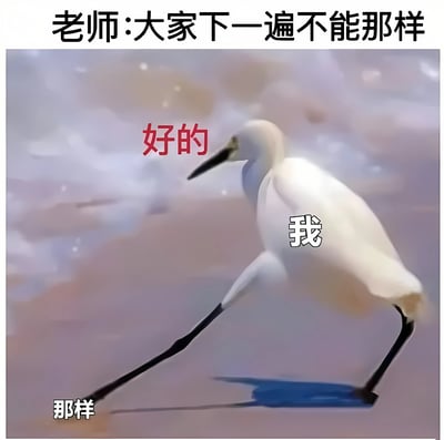 图片上方有文字“老师:大家下一遍不能那样”，下方是一只白色白鹭的照片，背景为模糊的浅色渐变。白鹭头部附近有红色文字“好的”，身体上有白色文字“我”，左下方有白色文字“那样”。整体通过白鹭“表面答应实际继续那样做”的反差，营造出幽默搞笑的效果，常用于调侃表面顺从但实际不按要求做的场景。