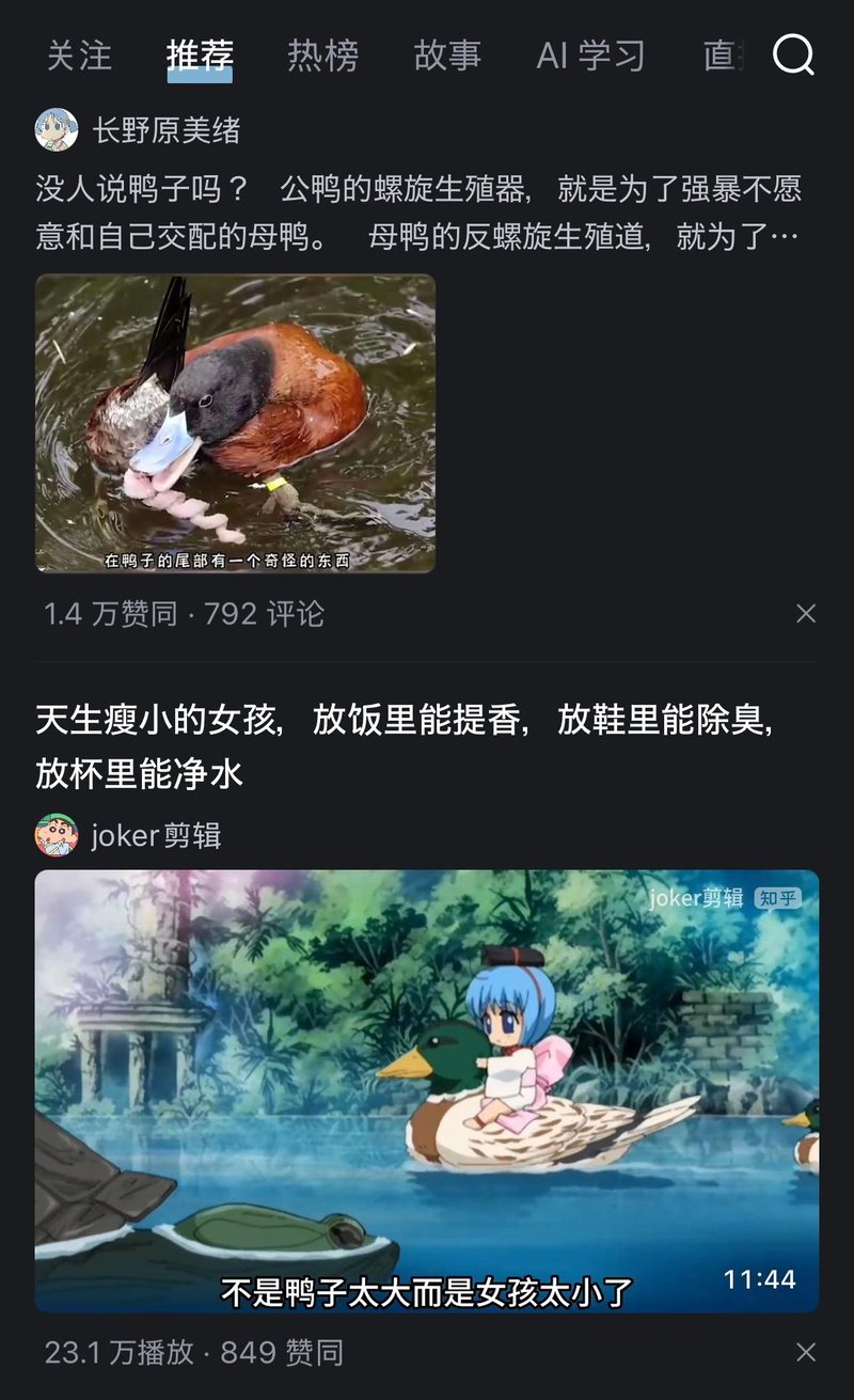 鸭子