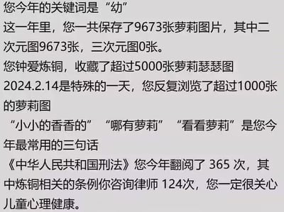 这是一张模仿各类APP年度数据报告形式的纯文字梗图，以虚构的用户年度行为数据为内容，玩低俗谐音梗进行调侃。图中显示用户年度关键词为“幼”，全年保存9673张二次元萝莉图片，收藏超5000张萝莉瑟瑟图，在2024年2月14日反复浏览超1000张萝莉图，常用语为“小小的香香的”“哪有萝莉”“看看萝莉”，还调侃用户全年翻阅365次《中华人民共和国刑法》，就炼铜相关条例咨询律师124次，最后用反讽语气称“您一定很关心儿童心理健康”。其中“炼铜”是“恋童”的谐音梗，指代恋童癖这类违法且违背公序良俗的行为，图中用夸张的年度总结形式对这类不良行为进行低俗调侃。
