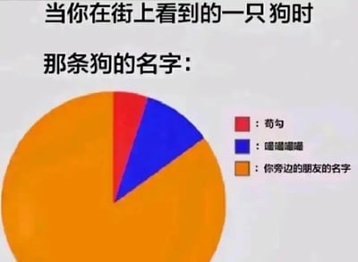 这是一张搞笑的图文混排饼图，上方配有两行文字：“当你在街上看到的一只狗时”“那条狗的名字：”，下方的饼图将人们看到狗时的称呼分为三个部分：占比最大的橙色区域对应“你旁边的朋友的名字”，蓝色区域对应唤狗的拟声词“嘼嘼嘼嘼”，红色区域对应“苟勾”——这是“狗狗”的谐音写法。整张图用饼图的形式调侃了生活中常见的朋友间互损行为：很多人看到狗时会故意喊朋友的名字来打趣对方，同时融入了谐音梗和日常唤狗的习惯，充满了轻松搞笑的氛围，非常贴近年轻人的日常玩梗场景。