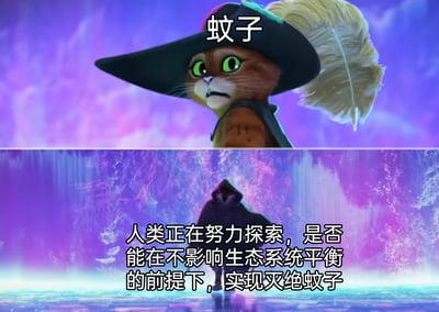 这是一张经过二次创作的上下分栏趣味梗图，上半部分使用了梦工厂动画《穿靴子的猫》中的靴猫形象，它瞪大双眼、表情惊恐，上方标注文字“蚊子”，将这个动画角色代入蚊子的视角；下半部分是一个身处梦幻光影场景中的黑影角色，搭配文字“人类正在努力探索，是否能在不影响生态系统平衡的前提下，实现灭绝蚊子”。整张图通过动画角色的惊恐神态和人类灭蚊计划的文字形成戏剧化反差，既调侃了蚊子面对人类灭蚊行动时的“处境”，也反映了人类在灭蚊这件事上想要解决困扰又顾虑生态平衡的现实情况，充满趣味性。