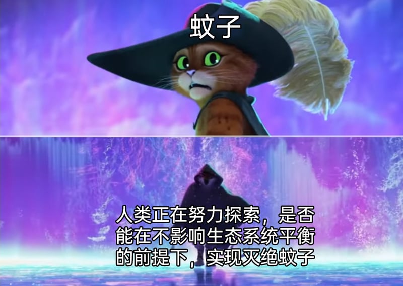 穿靴子的猫