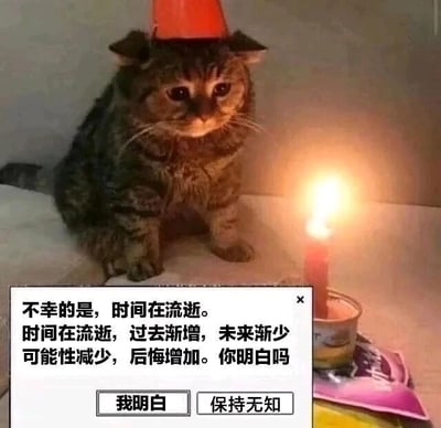 暂无描述