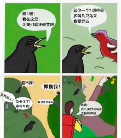 这是一张四格漫画，以鸟类为主角，充满了性暗示和谐音梗。第一格中，一只黑鸟兴奋地大喊："嘿！嘿！我在这里！让我们疯狂做艾吧"。第二格中，一只红鸟不屑地对黑鸟说："就你一个？想得美 多叫几只鸟来 我要群匹"。第三格场景变得混乱，多只鸟出现并说着各种带有性暗示的话："超市我！"、"橄榄我！"、"坐我脸上！"，而黑鸟则喊道："我卡住了！谁帮帮我！"，还有一只鸟说："我是素质单鸟"。第四格中，一个人类角色陶醉地说："哇哦~ 多么美妙动听的大自然声音"。

漫画使用了谐音梗，"做艾"听起来像"做爱"，制造了幽默效果。人类角色对鸟类的污言秽语一无所知，反而认为是美妙的自然声音，这种反差也增加了喜剧色彩。