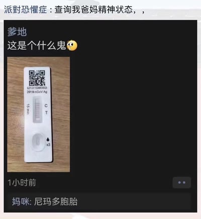 这是一段充满趣味的家庭聊天记录截图，用户在上方配文“派對恐懼症：查询我爸妈精神状态，，”；用户的父亲发送了一张新冠抗原检测试纸的照片，试纸的T区出现多条异常的杠，父亲疑惑询问“这是个什么鬼😳”；母亲却误将新冠抗原试纸认成验孕棒，闹出乌龙回复“尼玛多胞胎”。整个内容因长辈混淆两种检测工具的用途，制造出荒诞又搞笑的日常乌龙，充满家庭生活的轻松趣味。