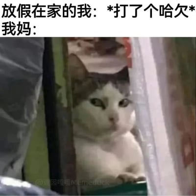 这是一张还原放假在家与妈妈相处日常的搞笑迷因图，上方文字描述“放假在家的我”打了个哈欠，下方用一只从缝隙中探出头的猫咪来代表“我妈”的反应——猫咪眼神充满审视与怀疑，表情严肃警惕，精准戳中了很多人放假在家时，稍微有一点动静就会被妈妈过度关注、紧盯的真实经历，用夸张的表情包形式放大了这种家庭日常里的小细节，让人感同身受，十分有趣。