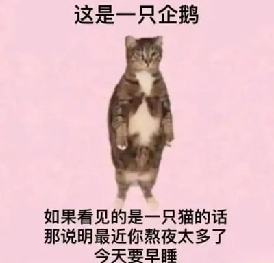 图片背景为粉色，中央是一只橘白相间的猫直立站在地面上，前爪自然下垂，表情淡定。图片上方配有文字“这是一只企鹅”，下方文字则写着“如果看见的是一只猫的话 那说明最近你熬夜太多了 今天要早睡”。通过文字与图像的幽默反差，调侃熬夜过多导致视觉“错乱”的现象，以轻松的方式提醒人们注意作息。