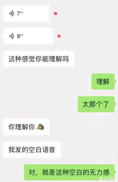 这是一张聊天记录截图梗图，展示了两个人关于发送空白语音的对话。一方发送了两条空白语音（7秒和8秒），并问对方是否理解这种感觉。对方表示理解并说"太那个了"，而发送者则用"你理解你🐴"（谐音梗，带有轻微侮辱意味）回应，最后揭示这是空白语音带来的无力感。