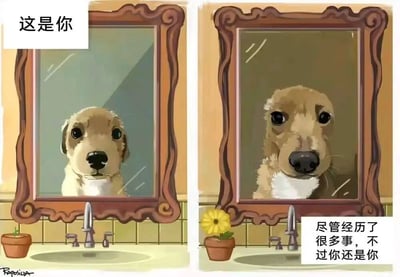这是一张双格对比梗图，左侧画面中一只小狗正对着镜子看自己，左上角配有文字'这是你'；右侧画面中小狗依然在照镜子，但眼神似乎更加坚定，右下角配有文字'尽管经历了很多事，不过你还是你'。整幅图通过可爱的狗狗形象传达了无论经历什么，保持自我本质的积极信息。