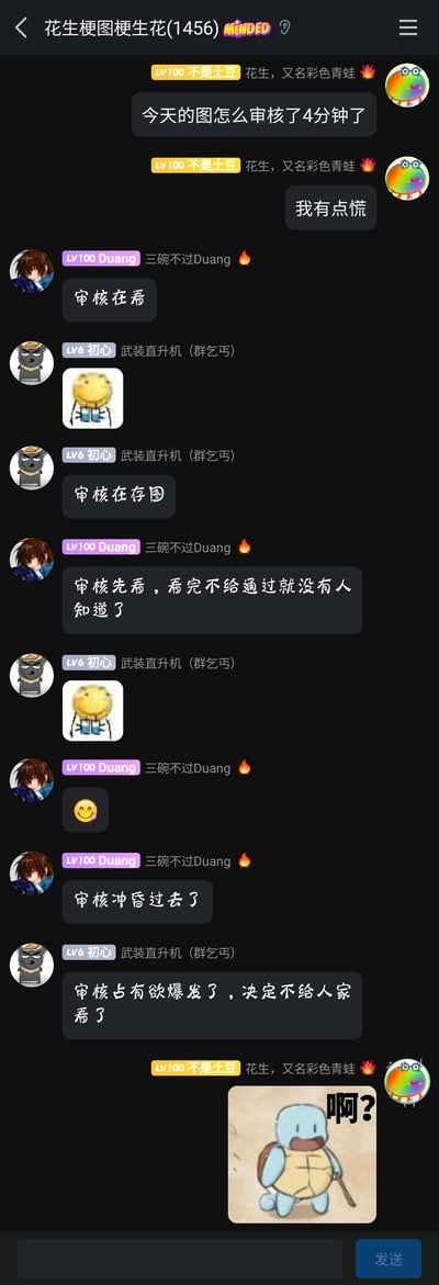 这是一张QQ群“花生梗图梗生花(1456)”的聊天记录截图，群成员“不是土豆”因为自己发送的图片审核时长达到4分钟而感到慌张，在群内表达了自己的不安；随后群成员“Duang”“初心”纷纷开启趣味调侃，脑洞大开地猜测审核人员的状态，诸如“审核在看”“审核在存图”“审核占有欲爆发了，决定不给人家看了”等离谱又搞笑的猜想层出不穷，最后“不是土豆”发出一张经过二次创作的杰尼龟“啊？”表情包，进一步烘托出群聊轻松搞笑、充满玩梗氛围的互动场景。