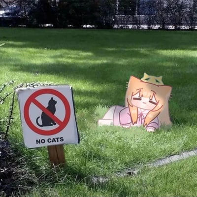 一张幽默的P图，展示了一片绿色草坪场景。左侧立着一个明确的"NO CATS"禁止猫咪进入标识牌，而右侧却有一个戴着皇冠的卡通猫耳娘惬意地躺在草地上，形成有趣的反差萌效果。猫耳娘有着橙色长发，穿着粉色衣服，闭着眼睛享受阳光，完全无视了禁止标识。
