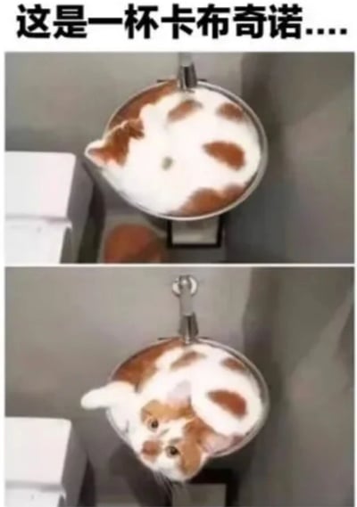 两张上下排列的图片，展示一只棕白相间的猫蜷缩在金属水槽中。猫的毛色和形状与卡布奇诺咖啡上的奶泡相似，上方配有文字"这是一杯卡布奇诺...."，通过视觉联想制造幽默效果。