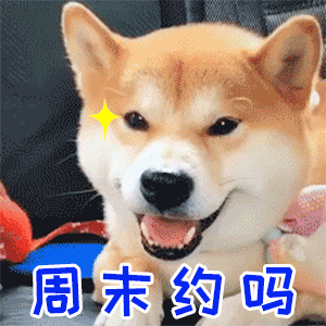 柴犬眨眼邀周末约会表情包