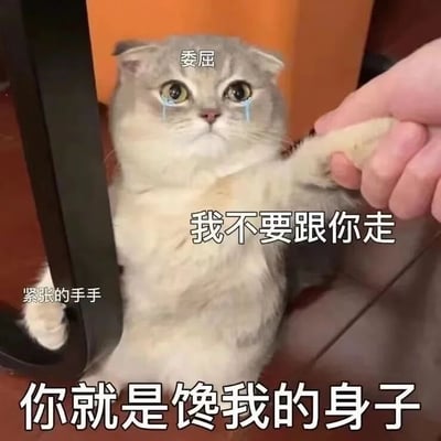 一只灰白色的猫咪，眼睛瞪得大大的，眼角被P上了蓝色的泪珠，头顶配有文字“委屈”。猫咪前爪被一只人的手握住，身体前倾，表情看起来既无辜又可怜。猫咪胸前有文字“我不要跟你走”，左下方靠近爪子的位置还有“紧张的手手”字样。整体画面通过猫咪委屈的表情和拟人化的文字，营造出一种可爱又搞笑的拒绝场景。