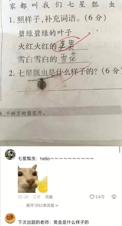 整张图由上下两部分拼接而成，上半部分是一张小学语文作业/试卷的实拍图：第一题为仿照示例补充ABAB式修饰词搭配的词语，学生填写的“火红火红的苹果”“雪白雪白的雪花”都被老师判定正确打上红勾；第二题是问答题“七星瓢虫是什么样子的？”，学生没有书写文字答案，而是直接在答题横线位置粘贴了一只真实的七星瓢虫作答。下半部分是社交平台的评论区截图：第一条评论发布者昵称为“七星瓢虫”，配了一张猫咪吐黄色不明液体的呆萌表情包，评论内容为“hello～～～～～～～～～”，该评论获得3.4万点赞，另有1052条回复；第二条评论则调侃称“下次出题的老师：黄金是什么样子的”，暗指如果出关于黄金的题目，学生可能会真的找来黄金答题，笑点十足。