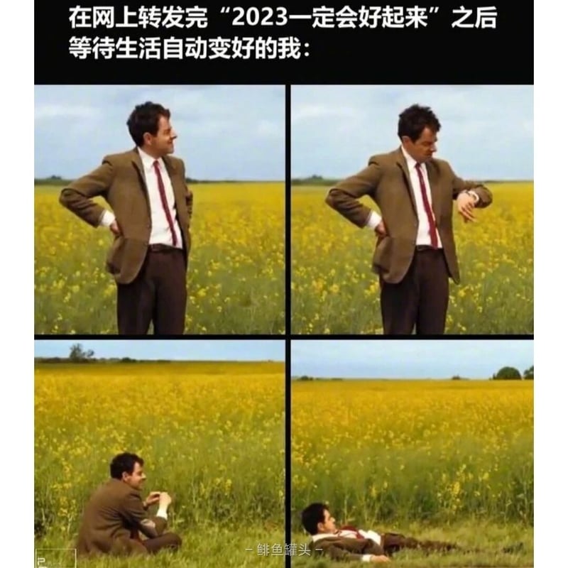 憨豆先生（罗温·艾金森）