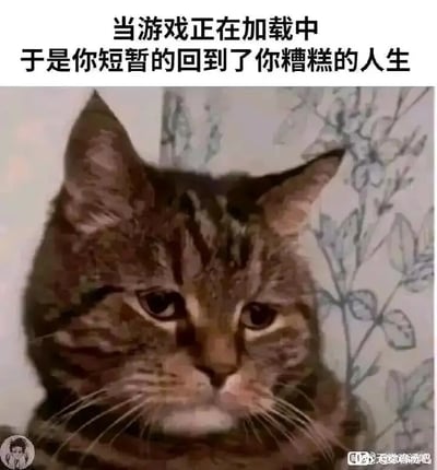 这是一张扎心的图文梗图，上方配有黑色文字“当游戏正在加载中 于是你短暂的回到了你糟糕的人生”，下方是一只狸花猫的照片，猫咪眼神黯淡无光，表情沮丧低落、满脸愁容，完美呼应了文案传递的情绪。这张图精准戳中了许多将游戏当作逃避现实压力的精神慰藉的人的内心：在游戏加载的短暂空白时间里，玩家不得不从游戏带来的快乐和放松中抽离，直面自己不尽如人意、充满糟心事的现实生活，这种反差带来的无奈与沮丧被猫咪的表情和文字精准表达，很容易引发网友的情绪共鸣。