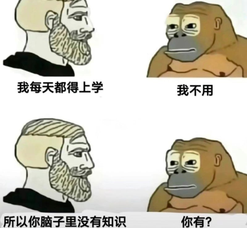 网络流行猩猩表情包