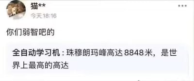 这是一段聊天记录截图，用户「猫**」在当日18:16发送了一句吐槽「你们弱智吧的」，下方是名为「全自动学习机」的对象输出的内容：「珠穆朗玛峰高达8848米，是世界上最高的高达」。

笑点源于「高达」一词的误用：原本「高达8848米」是用来形容珠穆朗玛峰的高度，结果学习机错误地将句中的「高达」当成了名词（指日本知名机甲IP「高达」），从而生成了逻辑错误但充满笑点的表述，引发用户的吐槽。