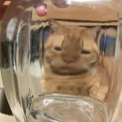 图片中一只橘黄色的小猫被装进一个透明的玻璃罐里，罐子由一只手从上方托住。小猫的身体在罐内显得有些被挤压，眼睛半眯，面部表情呈现出明显的“生无可恋”，带着一丝无奈和呆萌。玻璃罐表面有轻微反光，隐约可见背景中的室内环境。整体画面充满生活气息，猫咪的表情与被限制的场景形成反差萌，十分有趣。