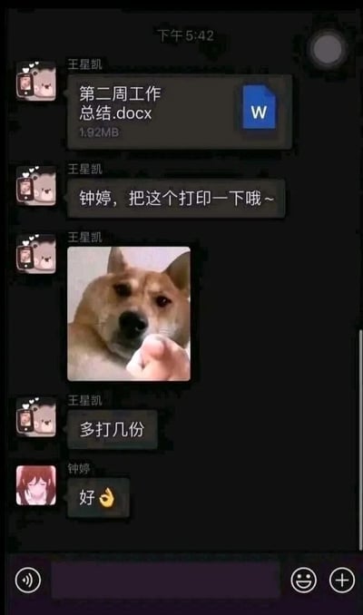 这是一张竖屏格式的职场即时通讯软件聊天记录截图，时间显示为下午5:42。截图中，职员王星凯先向同事钟婷发送了名为“第二周工作总结.docx”的工作文件，随后发送消息“钟婷，把这个打印一下哦~”，紧接着发送了一张柴犬指人的热门表情包，并补充消息“多打几份”；钟婷则回复“好👌”接受了工作任务。整个对话还原了职场中常见的同事间协作安排工作的日常场景，表情包的加入让严肃的工作沟通增添了一丝轻松趣味。