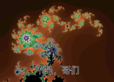这是一张静态的表情包图片，主体是曼德博集合的分形可视化图案，以棕褐色为底色，图案由绿色、橙色、紫色、黑色构成，呈现出层层嵌套、自相似的复杂卷曲花纹，完美展现了分形几何的独特视觉特征。图片右下角叠加了黑色简体中文文字“不是，哥们”，这是中文互联网上流行的口语化表达，常用于传递惊讶、不解、吐槽等情绪。抽象的数学分形图案和接地气的网络热梗文字结合，形成了一种无厘头的反差感，没有双关、谐音梗或其他暗示内容，主要用于在社交场景中表达个人情绪。