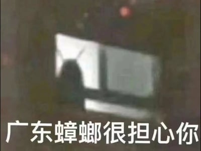 图片整体较为模糊，中央有一个难以清晰辨认的物体轮廓，下方配有醒目文字“广东蟑螂很担心你”。这是一张利用地域刻板印象创作的幽默梗图，通过拟人化的手法，将广东地区常见的蟑螂塑造成“担心你”的形象，形成反差萌的搞笑效果，调侃了当地蟑螂数量多或体型大的民间印象。