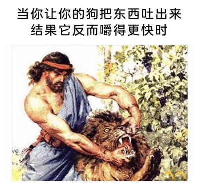这是一张贴合养宠日常的搞笑梗图，上方配有文字“当你让你的狗把东西吐出来结果它反而嚼得更快时”，下方是一幅西方古典风格的插画，描绘了一名壮汉双手发力、费劲地掰开狮子嘴巴的场景。插画里壮汉用力压制狮子的画面，精准类比了主人试图让狗吐出嘴里的东西，却遭遇狗加速咀嚼、不肯配合时，那种无奈又费力的崩溃心态，生动还原了养宠人遇到这类小状况的真实感受。