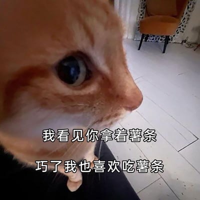 这是一张用于社交互动的趣味静态表情包，主体是一只近距离拍摄的橘色猫咪，猫咪侧头看向画面一侧，眼神专注，仿佛在紧盯目标。图片下方配有两行以猫咪视角发出的文字：“我看见你拿着薯条”“巧了我也喜欢吃薯条”，用诙谐直白的语气表达出想要分享薯条的诉求，整体风格轻松有趣，适合在和朋友聊天时，用于讨要食物或者表达对薯条的喜爱。